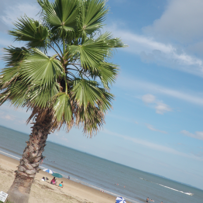 マリーナ河芸　海の見える会場