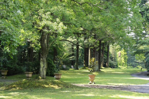 レッドヒル ヒーサーの森 （赤塚植物園）