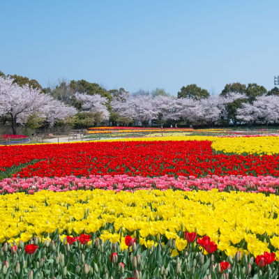 ナガシマリゾート　ピックアップ②