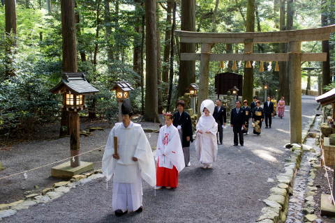 椿大神社椿会館 画像①
