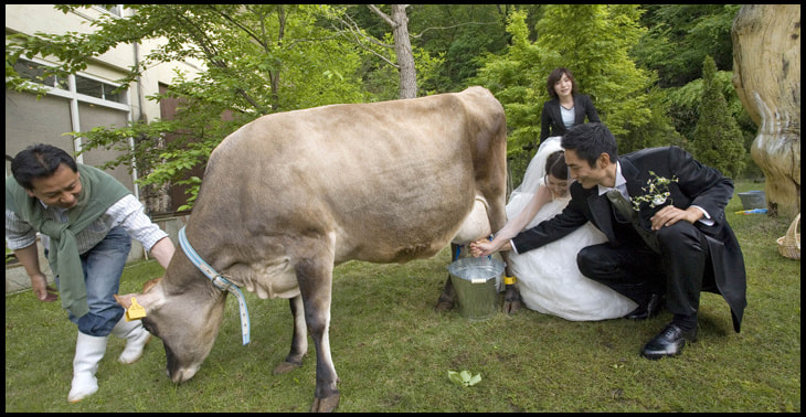 伊賀の里モクモク手づくりファーム