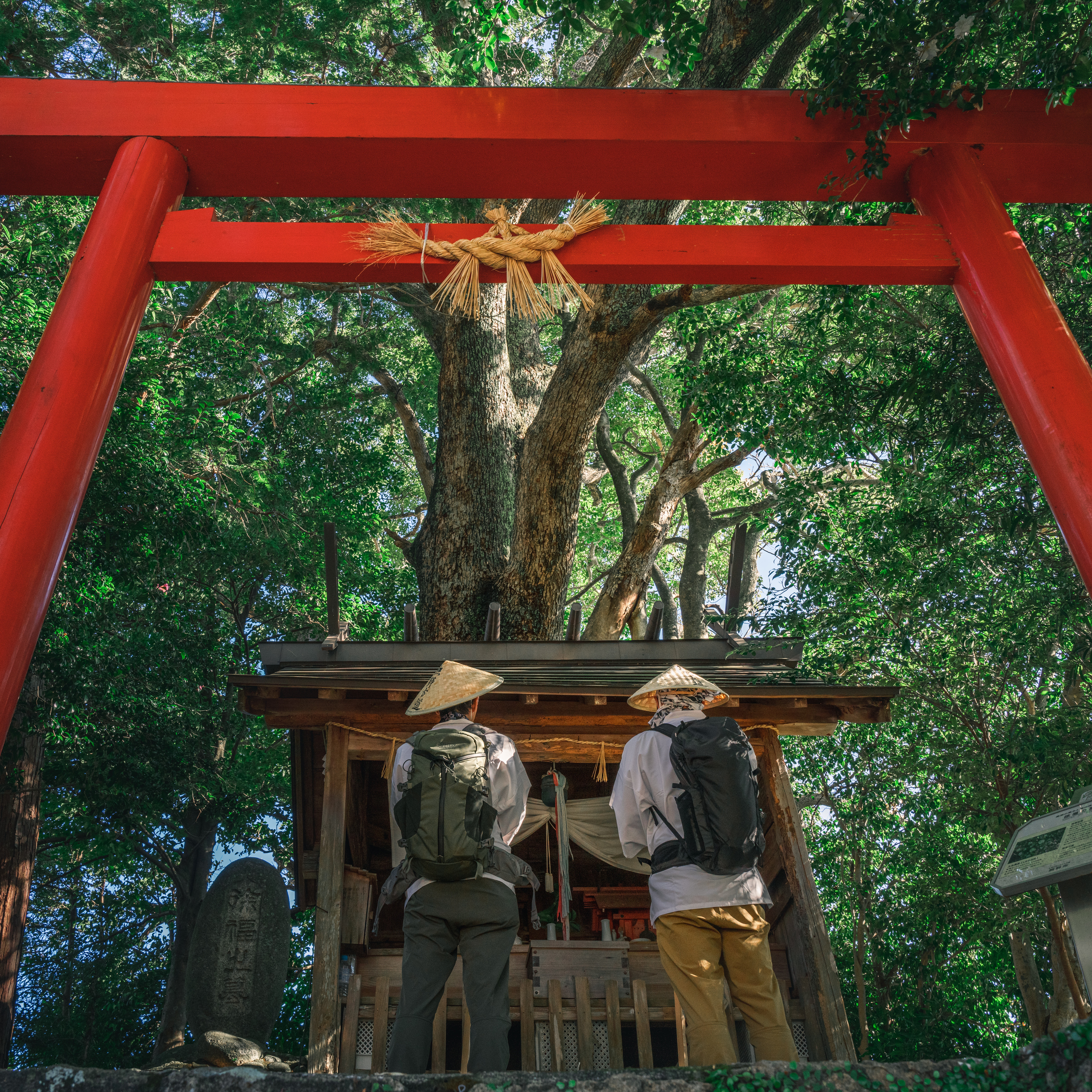 熊野古道伊勢路で最古の「波田須の道」は歩きやすくて初心者にもぴったり。海が見える秘境駅、絶景スポットなど魅力満載な波田須の行き方＆楽しみ方をご紹介