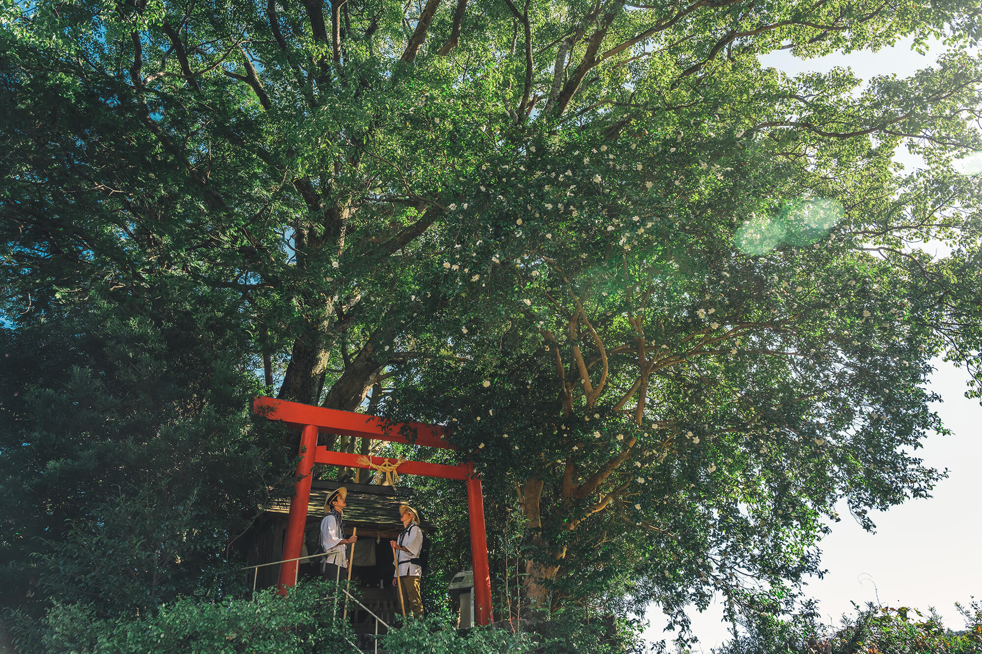 徐福の宮（波田須）