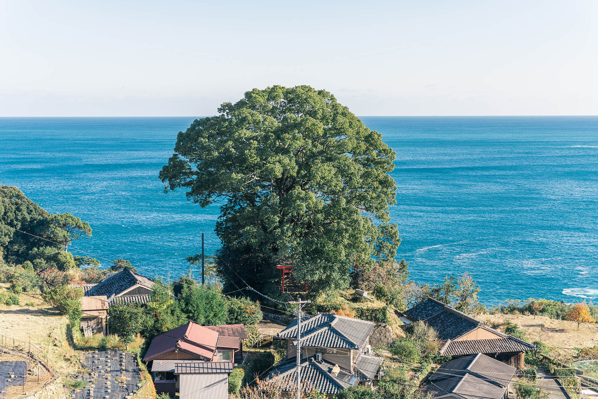 徐福の宮（波田須）