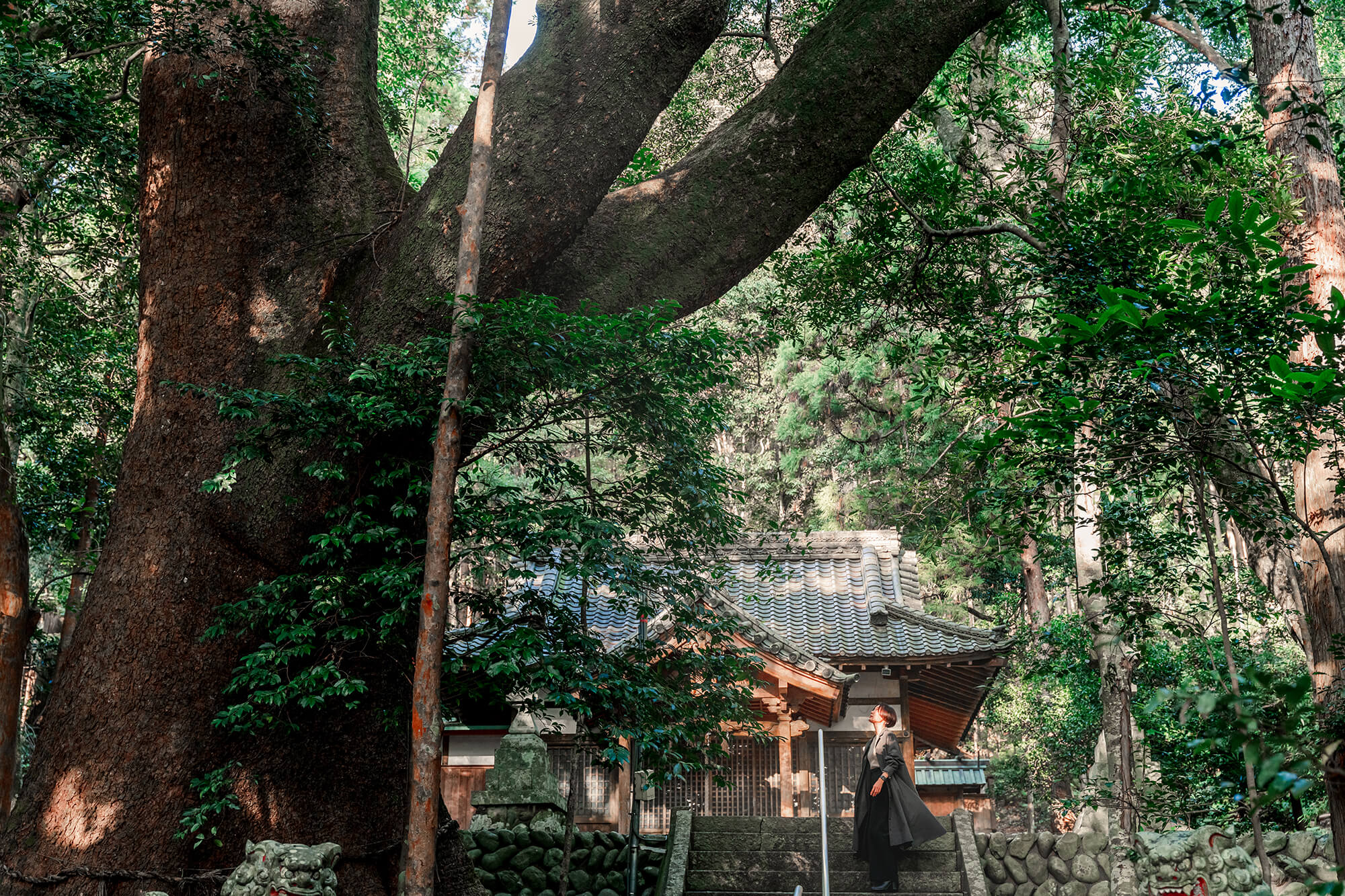 豊浦神社