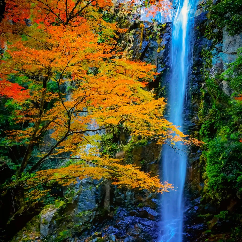 Rokujuppiro-daki Waterfalls (Odai Town)